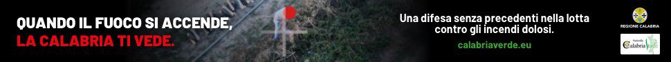 spot_img