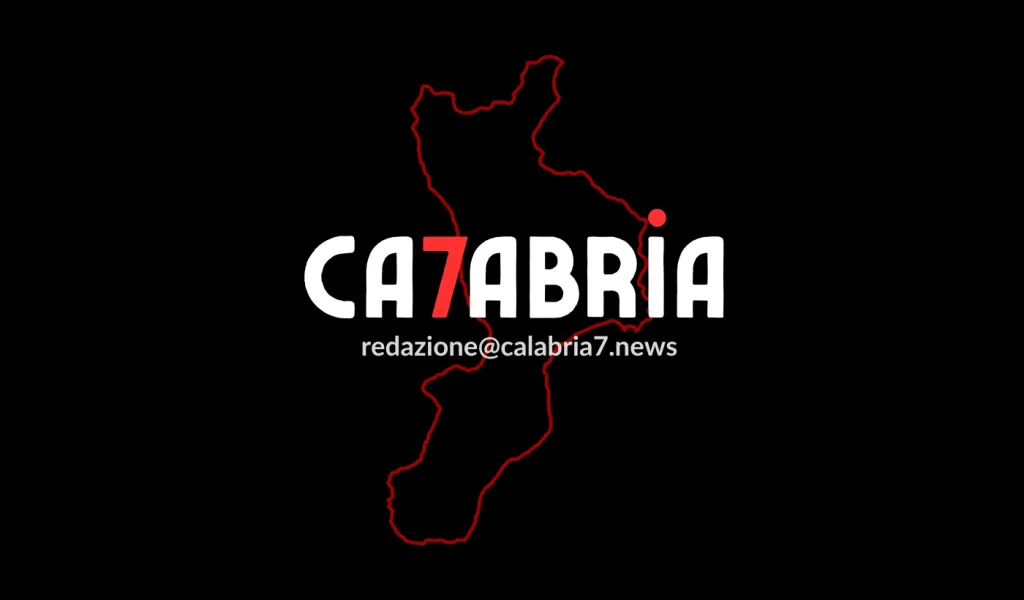 Calabria 7 Redazione - Feature Base