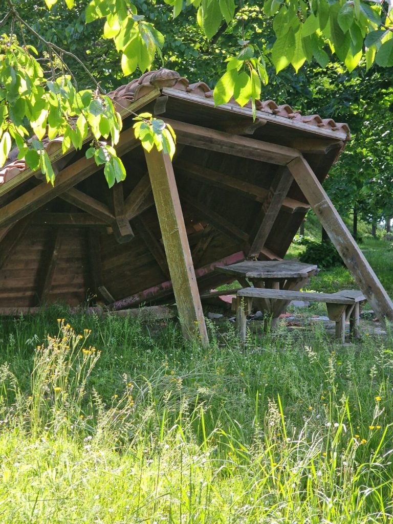 Il parco della vergogna di Vibo, l’indifferenza del potere e l’arte (tutta politica) di girarsi dall’altra parte 1 parco rimembranze