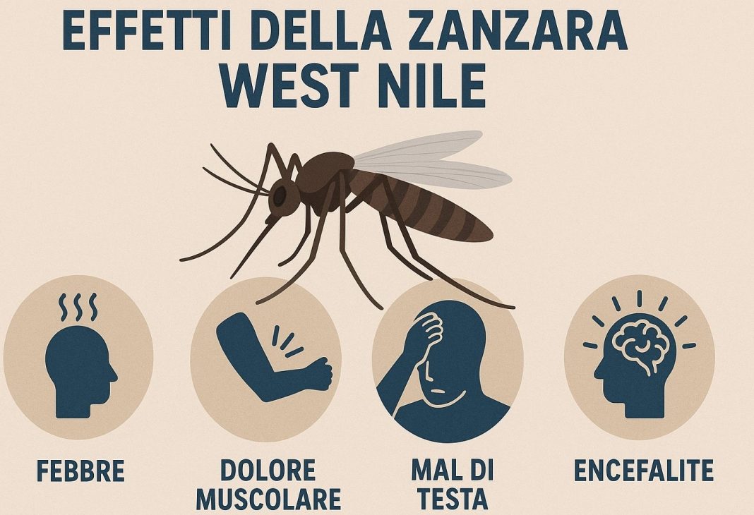 zanzara west nile - slide