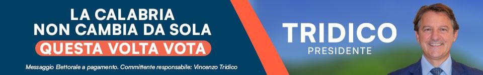 Partner Calabria 7