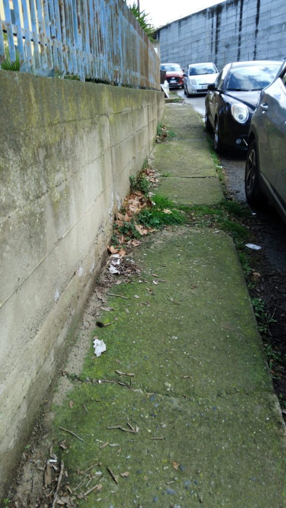 559411164 1354030999635009 1417457617469390509 n