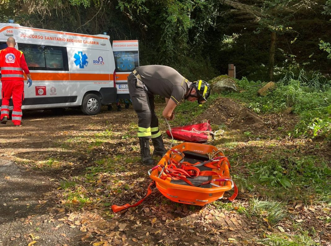 571146091_1367087958329313_9166499432539328595_n