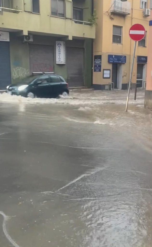 Statale 106 in tilt: l'associazione di volontariato denuncia cinque anni di progetti ignorati (FOTO) 2 Immagine WhatsApp 2025 10 31 ore 18.49.42 e51339ca