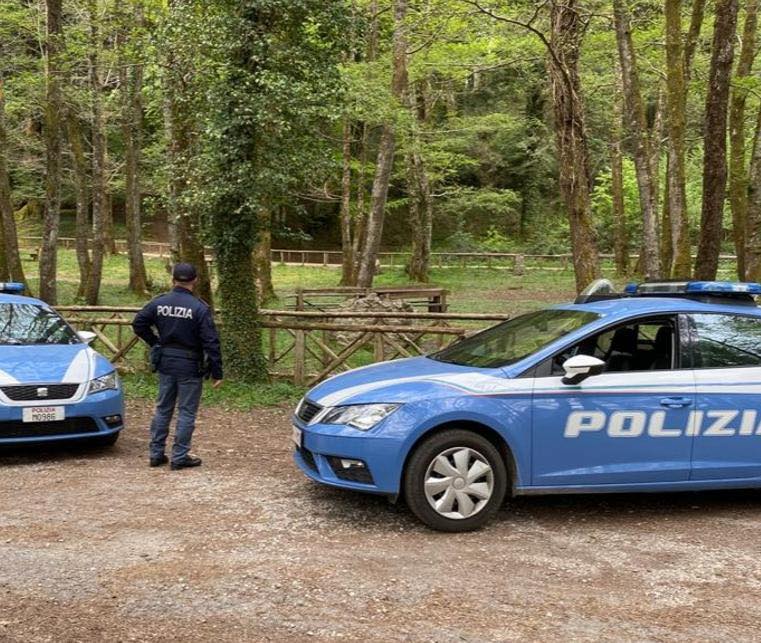 Polizia Serra San Bruno auto vicino alberi
