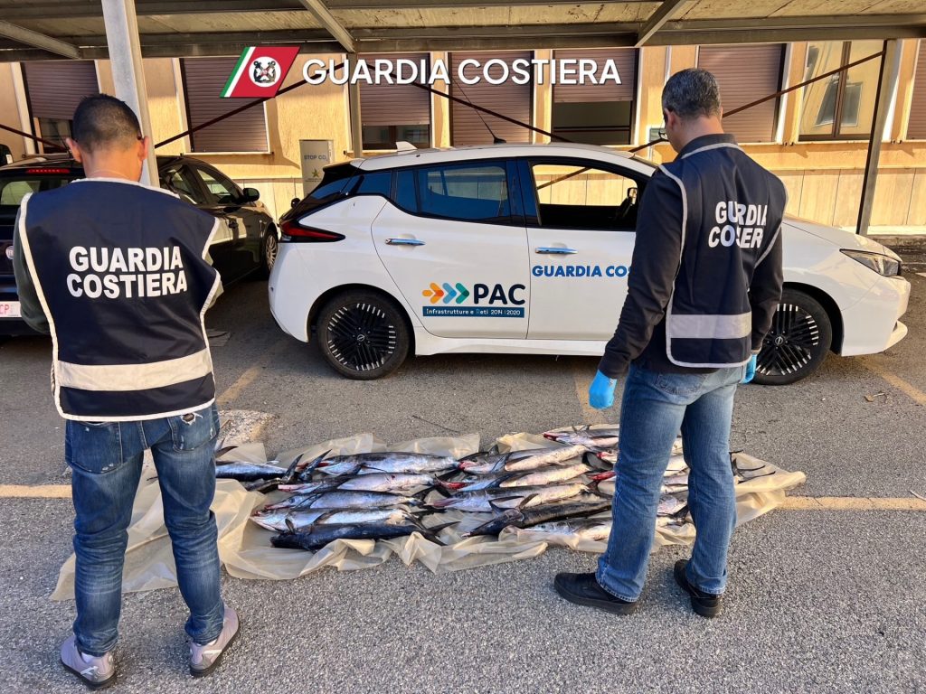 Blitz della Guardia Costiera a Vibo: fermato carico di pesce spada illegale 1 IMG 0420