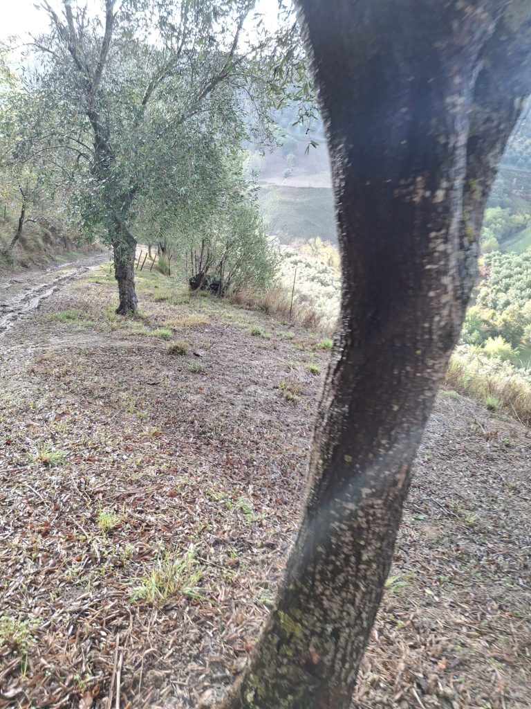 WhatsApp Image 2025 11 08 at 15.10.12 1 1