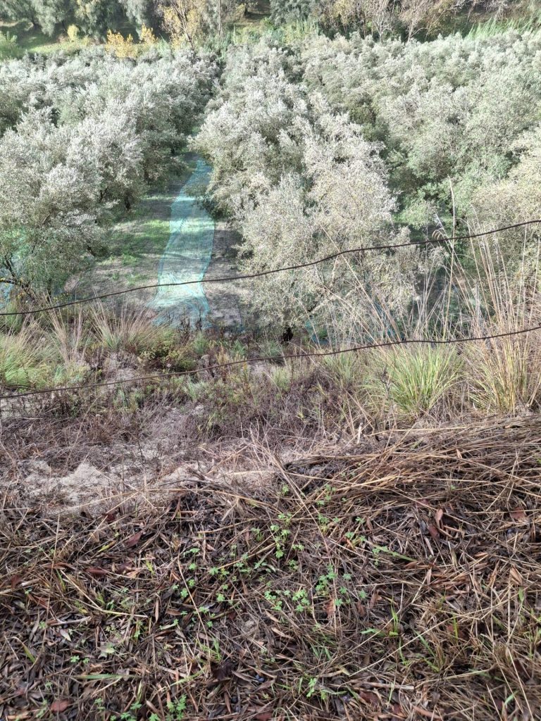 WhatsApp Image 2025 11 08 at 15.10.12 2