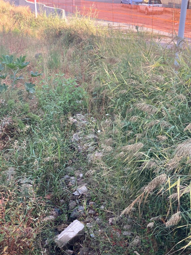 L’opposizione attacca il Comune: “Vibo tra buche, fogne e cantieri fantasma, altro che luminarie natalizie”(FOTO) 1 vibo opposizione 12 1