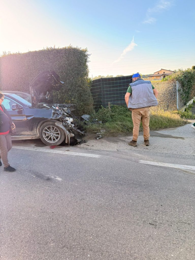 Immagine WhatsApp 2025 12 18 ore 17.07.31 7c24e8f6