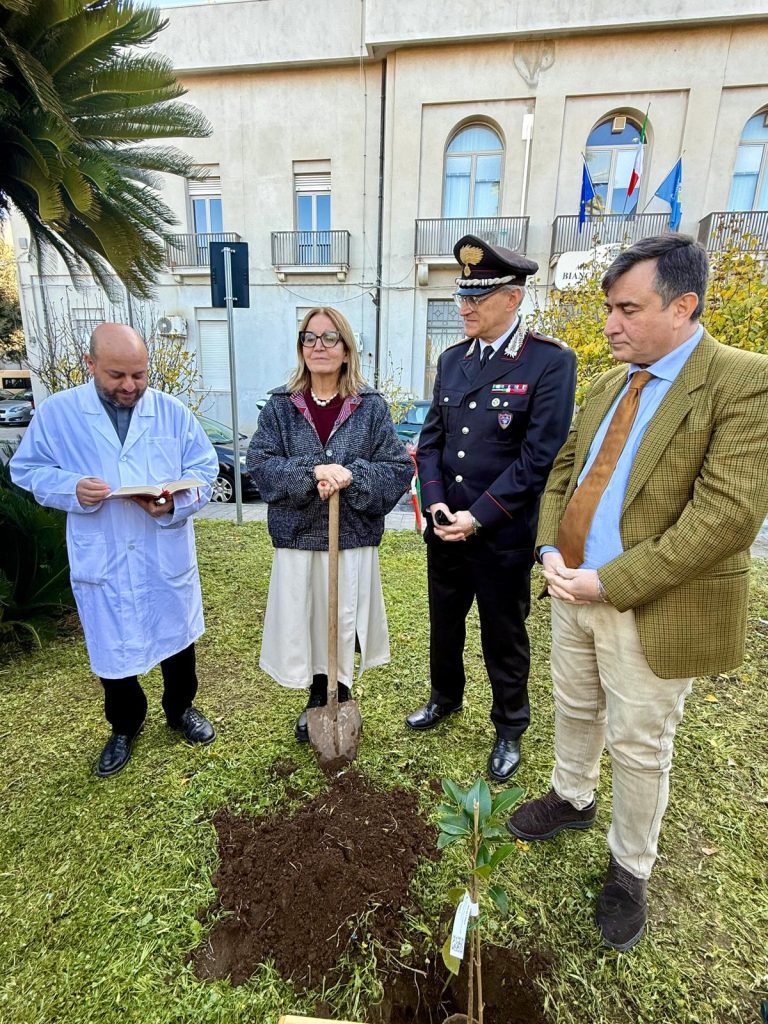 Il Gom di Reggio Calabria pianta l’Albero di Falcone: salute e legalità crescono insieme (FOTO) 1 WhatsApp Image 2025 12 05 at 14.21.48