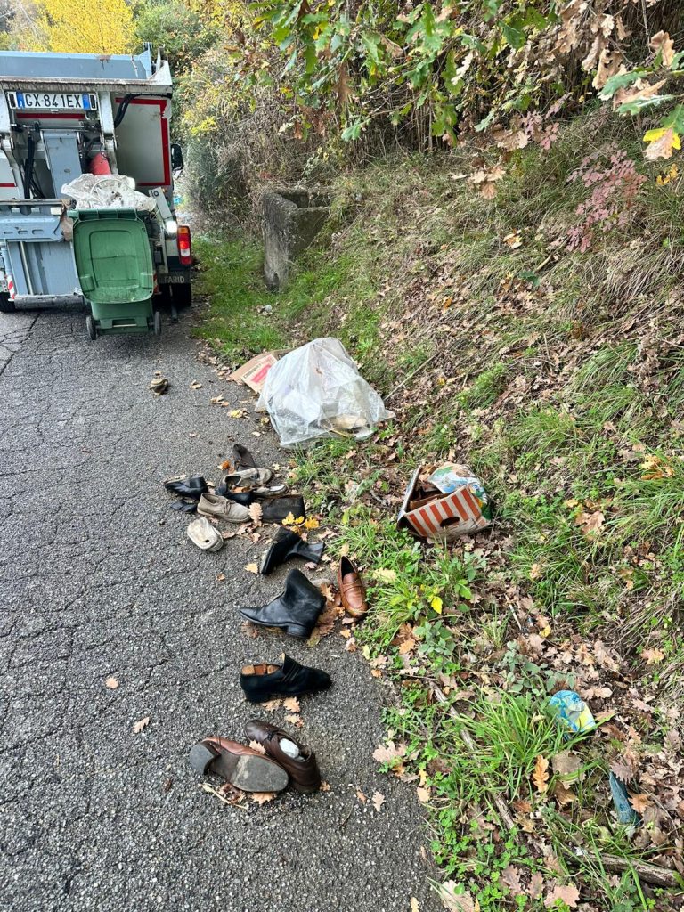 Decoro urbano, sanzionati altri trasgressori a Cosenza. Caruso: "Senso civico è un dovere condiviso" (FOTO) 1 bonifica 3 1
