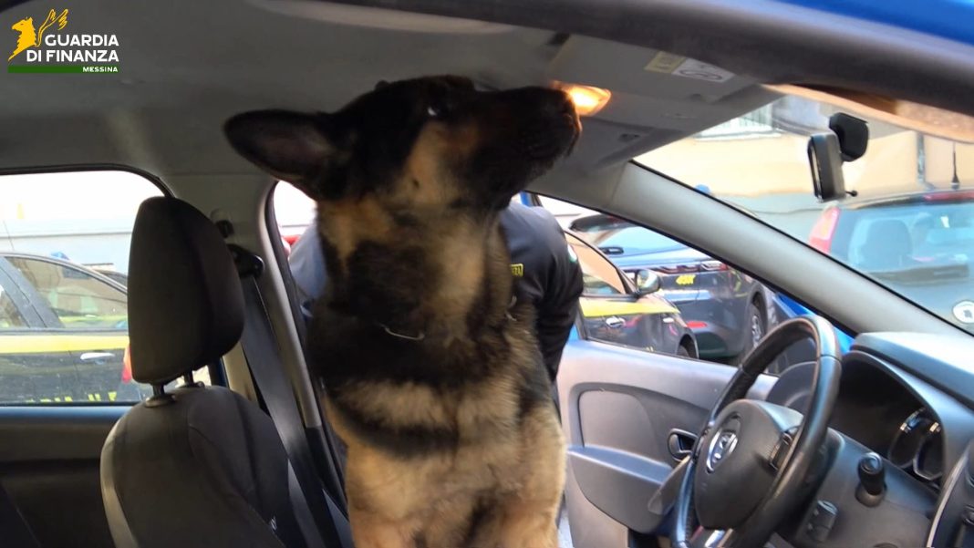 Guardia Finanza Messia, arresto corriere droga Calabria