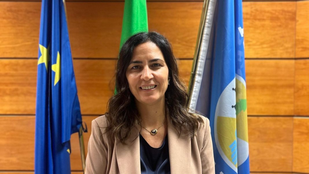 Regione Calabria, Micheli