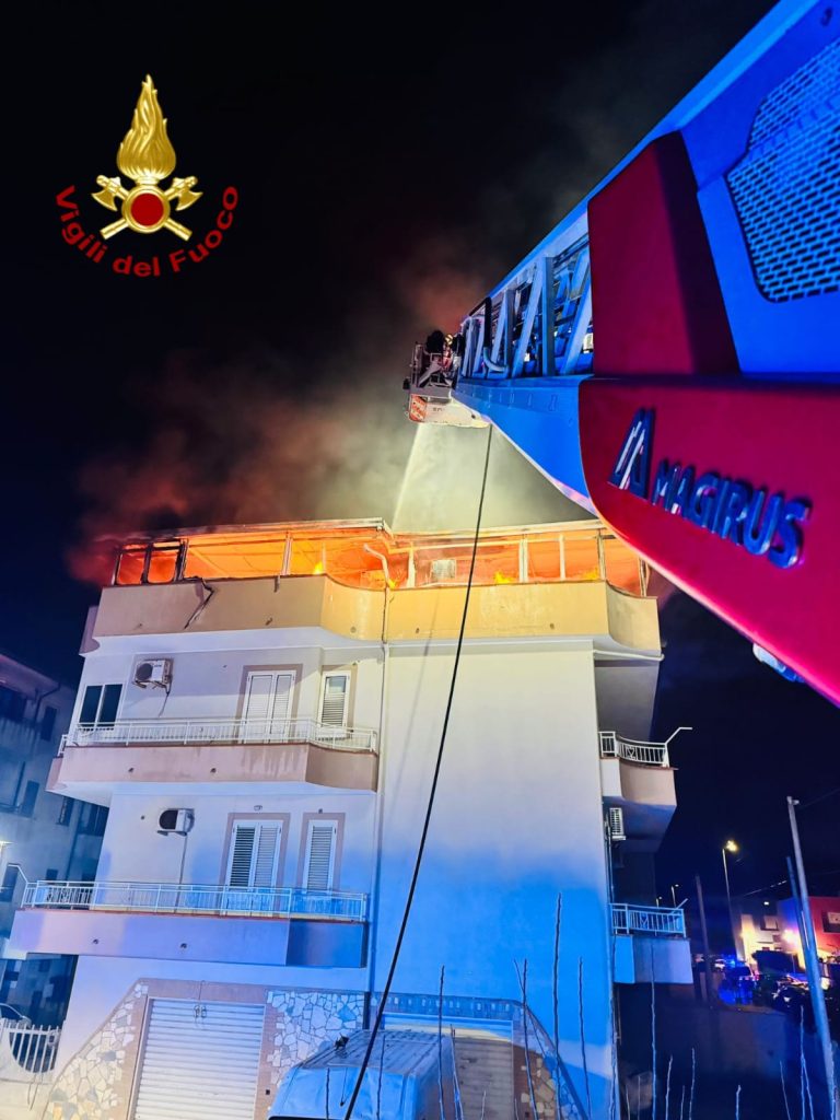 WhatsApp Image 2026 01 17 at 12.16.00