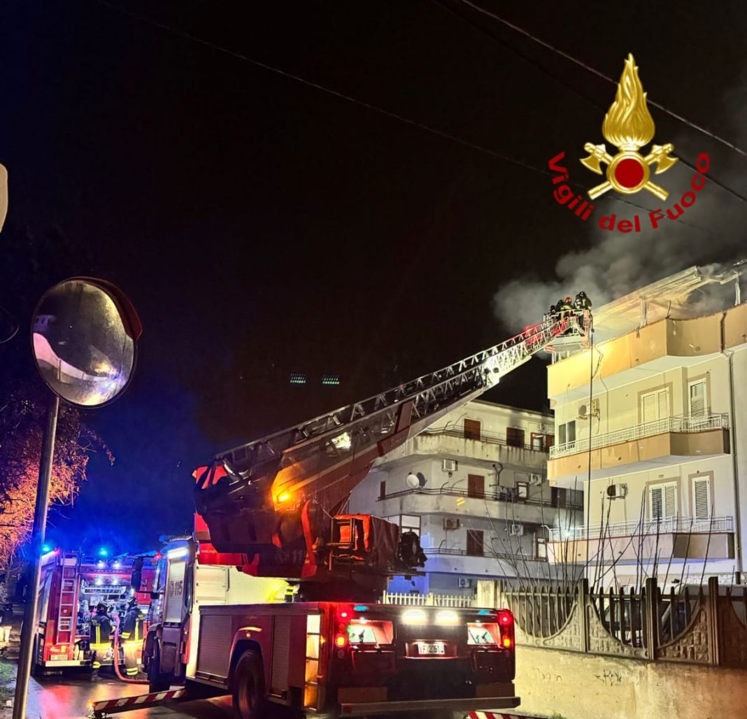 WhatsApp Image 2026-01-17 at 12.16.19