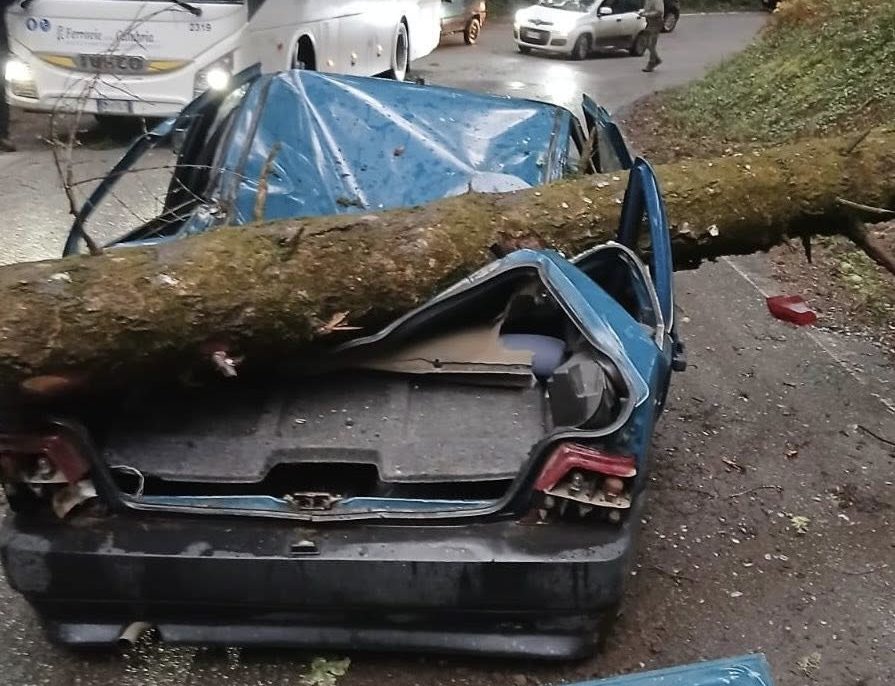 631829220_1332753555537647_6679905728776824756_n