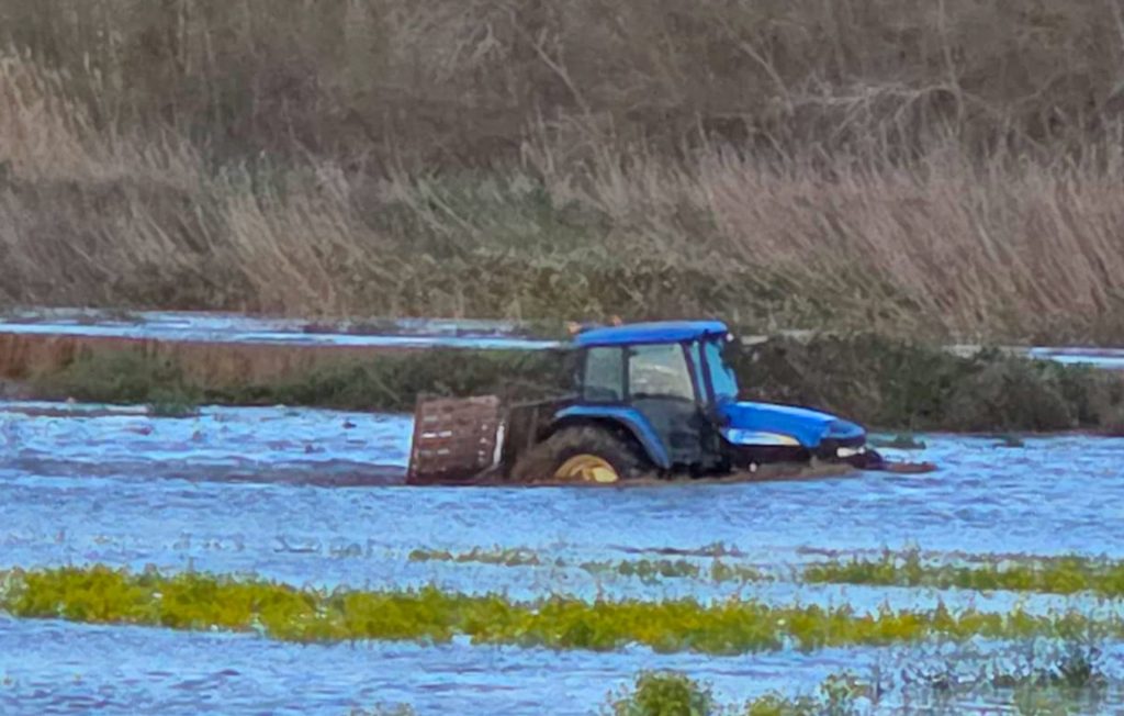 Il Crati travolge l'agricoltura, tremila ettari in ginocchio. Arriva il disperato allarme di Coldiretti 1 Maltempo Coldiretti Calabria 1a