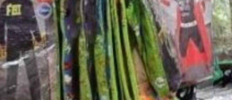 Polizia Locale Reggio Calabria, sequestro carnevale 2026