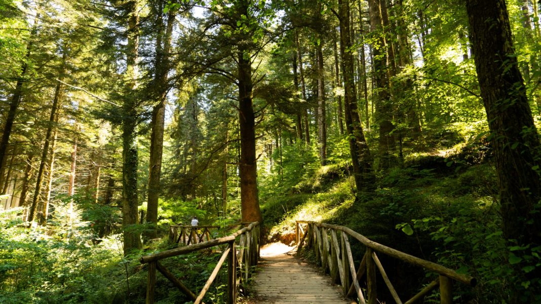 VV--SERRA_SAN-BRUNO-_13_TOUR-CALABRIA