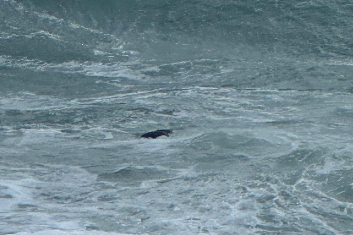 WhatsApp Image 2026 02 17 at 13.49.50 3 edited