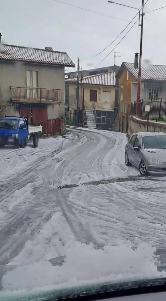 Petrona grandinata eccezionale due