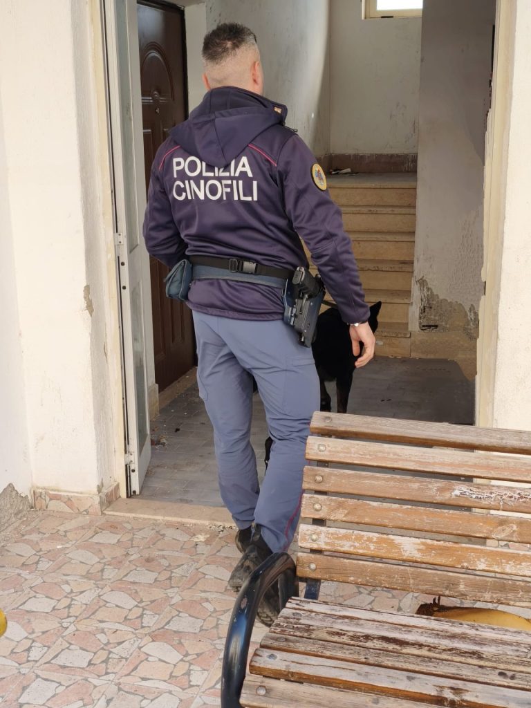 Polizia Catanzaro armi e droga tre