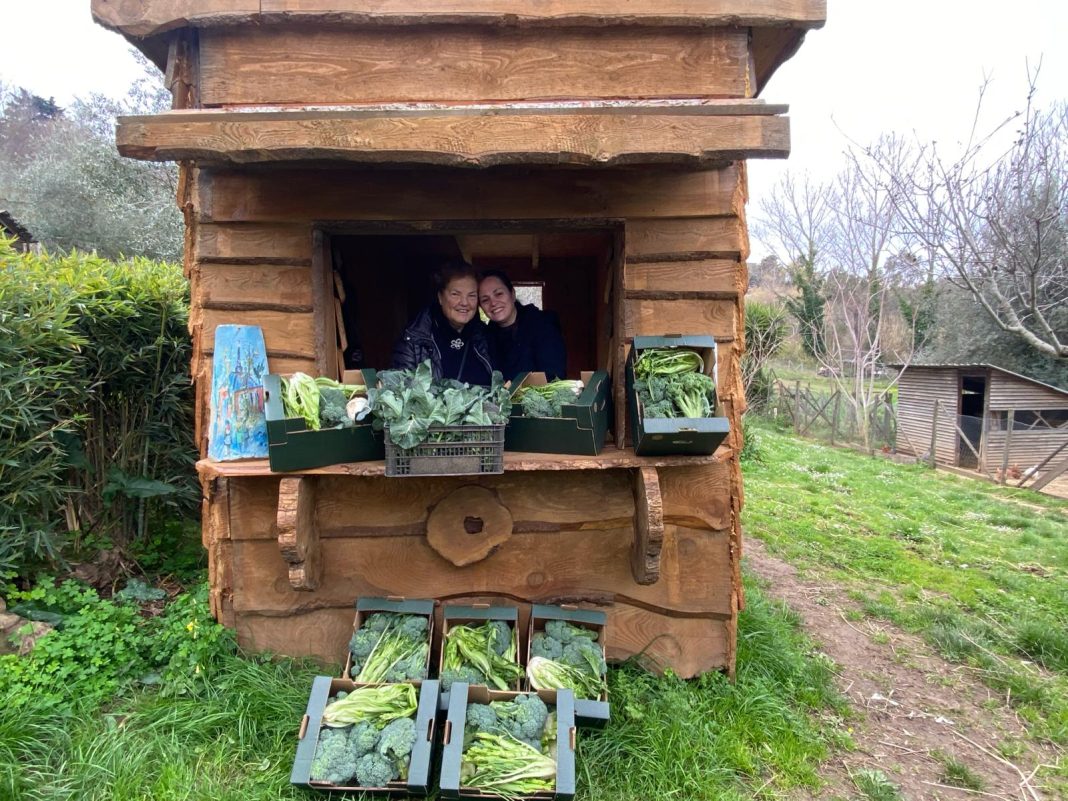 Vibo Valentia, Gas Agria