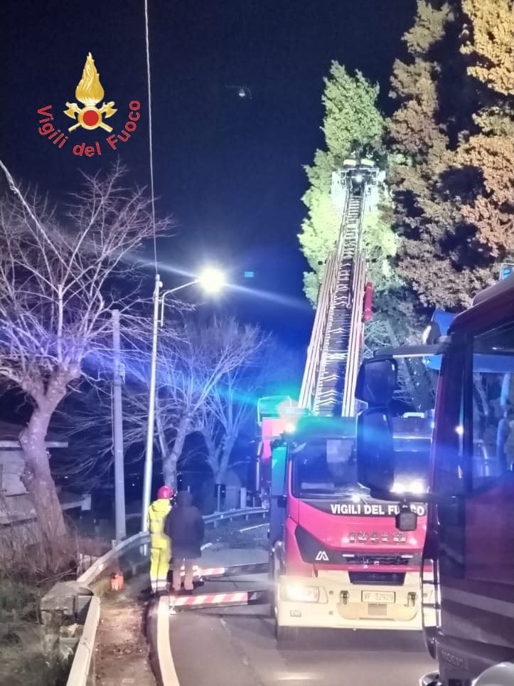 Furia maltempo, alberi a rischio crollo sulla Strada Statale 19, Vigili del fuoco in azione a Tiriolo (FOTO) 2 Vigili del Fuoco Catanzaro alberi Tiriolo due