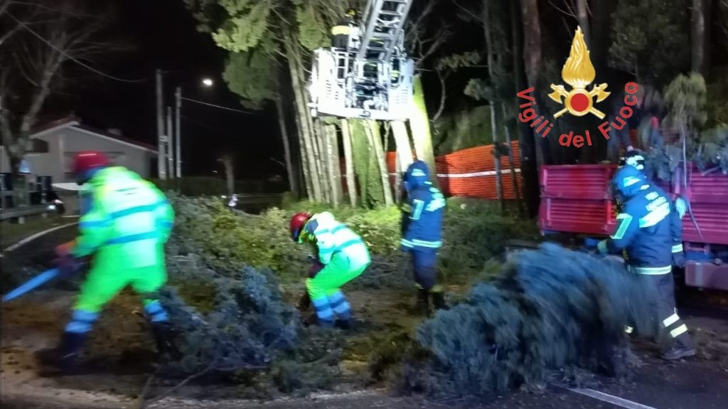 Furia maltempo, alberi a rischio crollo sulla Strada Statale 19, Vigili del fuoco in azione a Tiriolo (FOTO) 1 Vigili del Fuoco Catanzaro alberi Tiriolo tre
