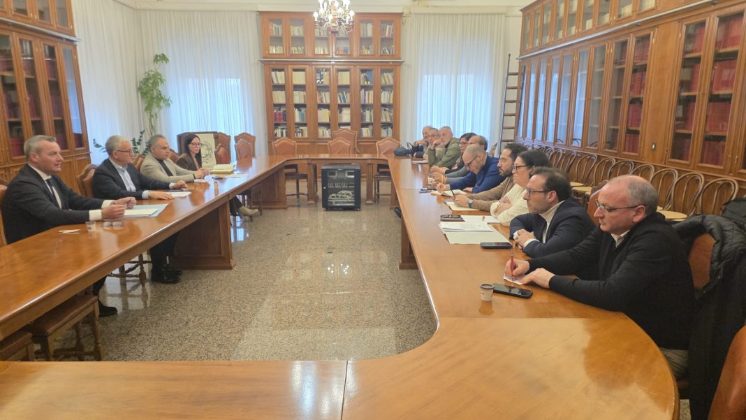 WhatsApp Image 2026-03-03 at 19.57.54