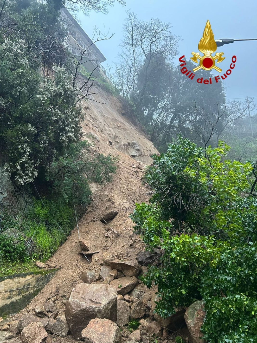 WhatsApp Image 2026-03-16 at 19.31.48