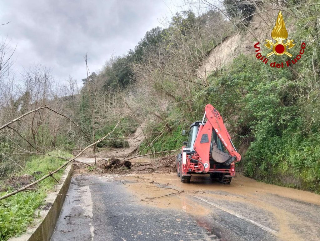 WhatsApp Image 2026 03 17 at 13.55.42