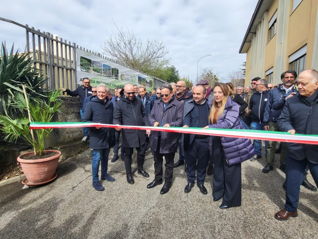 WhatsApp-Image-2026-03-20-at-17.14.34