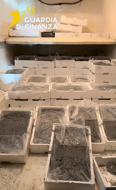 Guardia di Finanza Cosenza novellame due