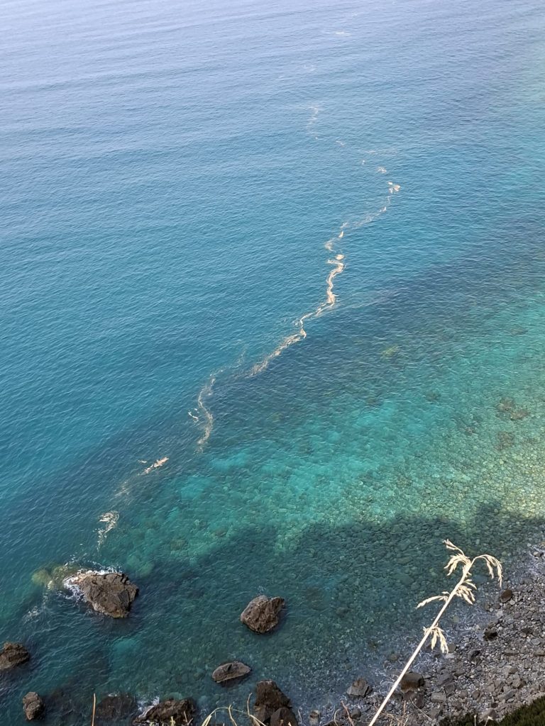 WhatsApp Image 2026 04 15 at 13.01.40 2